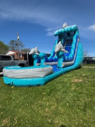 19ft Dolphin Splash Water Slide
