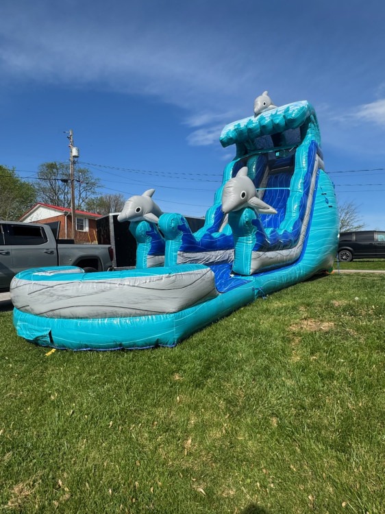 19ft Dolphin Splash Water Slide