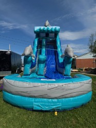 MEff655abbabc91b91ac4725b1ff68b6a5 1745520610 19ft Dolphin Splash Water Slide