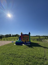 IMG 1164 1752790014 Color Fun Bounce House W/Slide