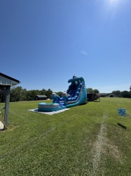 19ft Dolphin Splash Water Slide