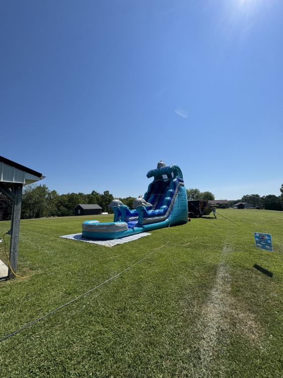 19ft Dolphin Splash Water Slide